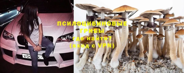 марихуана Анжеро-Судженск